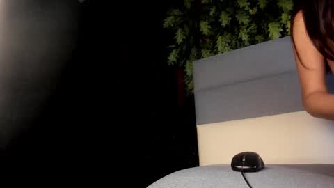 Novi online show from 16, 9, 2025