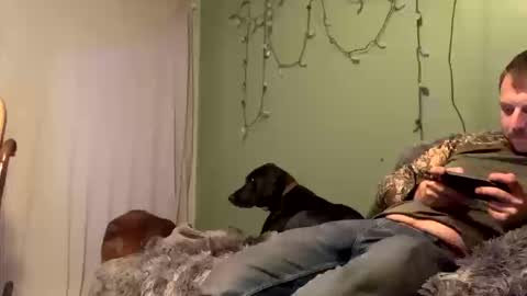 nsy57528 online show from 19, 10, 2025