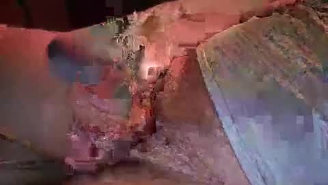 Snapshot of nurod chatting on 3, 1, 2025 nurod online show from 3, 1, 2025