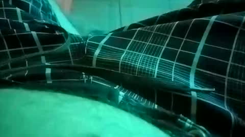 Snapshot of nuttyprofesir chatting on 4, 4, 2026 NuttyProfesir online show from 4, 4, 2026