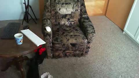 Snapshot of nyloniasau chatting on 29, 11, 2025 Strumpfhose online show from 29, 11, 2025