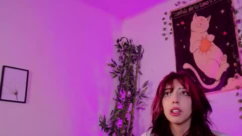   online show from 23, 12, 2025