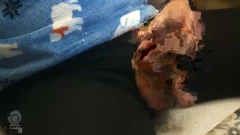 o0okukito0o online show from 12, 1, 2025