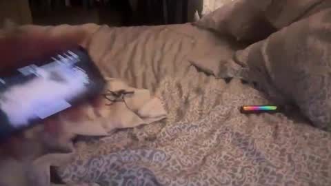 obiwand653040 online show from 4, 11, 2025