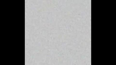 Obsidian stallion online show from 9, 2, 2026