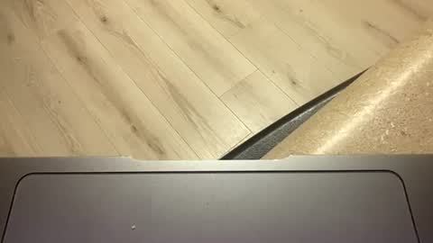 Snapshot of ofthatguy chatting on 24, 10, 2025 ofthatguy online show from 24, 10, 2025