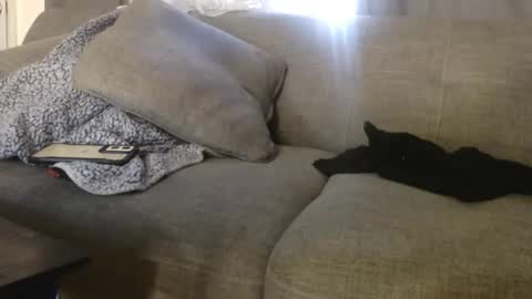 Snapshot of ogdigbick chatting on 4, 11, 2025 OGDigBick online show from 4, 11, 2025