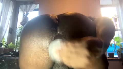 Snapshot of ohhcoco chatting on 3, 1, 2025 bbygtbckkk online show from 3, 1, 2025