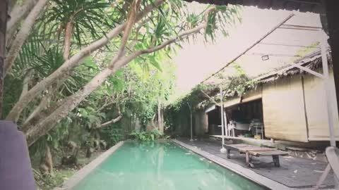 Mo online show from 18, 11, 2025