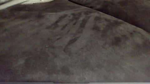 Snapshot of oktobus74 chatting on 13, 11, 2025 oktobus74 online show from 13, 11, 2025