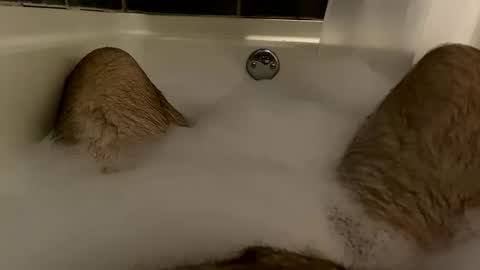 Snapshot of oldbones2 chatting on 8, 12, 2024 oldbones2 online show from 8, 12, 2024