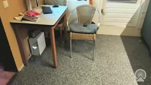 oldersagger online show from 4, 12, 2025