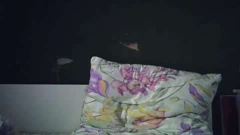 Snapshot of olivepeach chatting on 23, 4, 2026 Oil online show from 23, 4, 2026