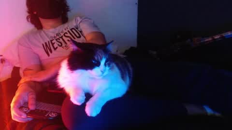 oliver_laid_2023 online show from 20, 12, 2024