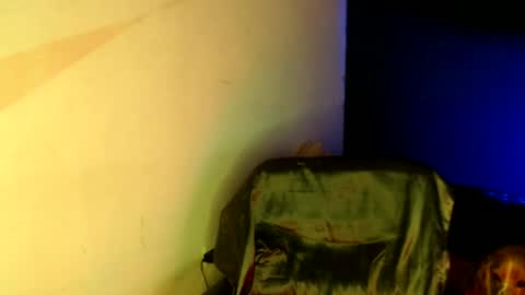 oliver_laid_2023 online show from 18, 1, 2025