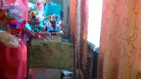 Snapshot of olivia_mia25 chatting on 24, 4, 2026 Olivia Mia online show from 24, 4, 2026
