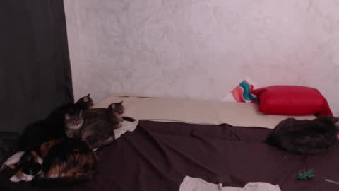 Olivia online show from 4, 2, 2026