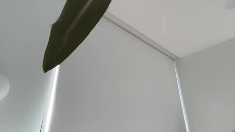 Olivia Brookes online show from 4, 12, 2025