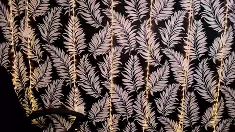 Kelly online show from 2, 3, 2025