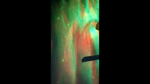 Dumbass Im done online show from 2, 3, 2026