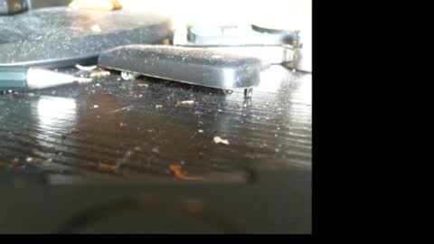 one_life152 online show from 15, 3, 2026