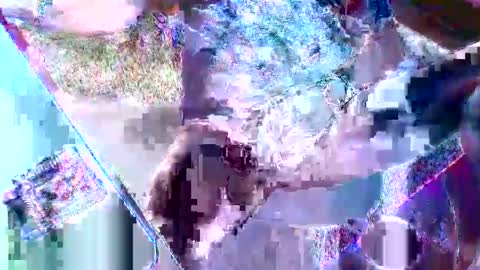 Unpredictable online show from 31, 1, 2025