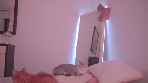 Snapshot of onelittlemermaid chatting on 17, 2, 2026 Ariel online show from 17, 2, 2026