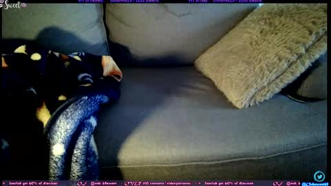  OF - Ooh 69sweet SNAP4LIFE OFFLINE  899 normal  VIP 1369 outside  online show from 5, 11, 2025