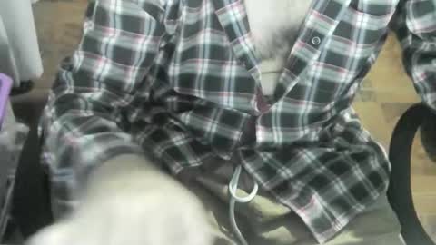 Snapshot of ore_cam chatting on 20, 1, 2025 Ore online show from 20, 1, 2025