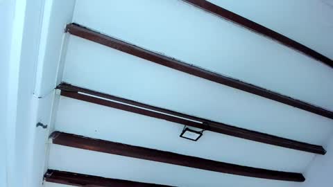 Miss Guzman  online show from 6, 2, 2025