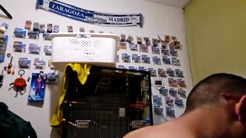 orlandovilla48 online show from 19, 4, 2026