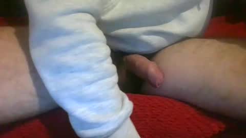 ornytologist online show from 7, 12, 2024