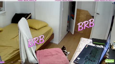 Osito Blanco online show from 30, 1, 2025