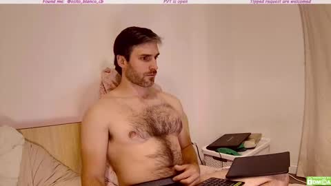 Osito Blanco online show from 6, 11, 2025