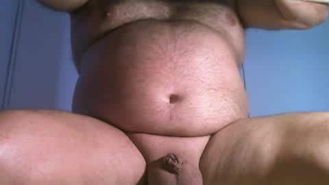 Oso Licencioso online show from 8, 3, 2026