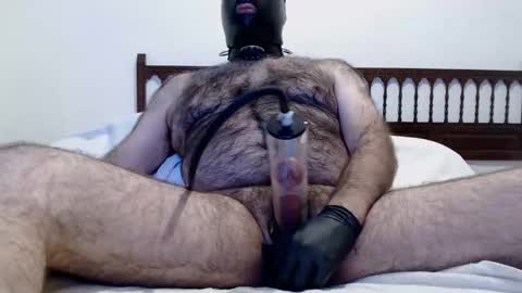 Snapshot of osotfsur chatting on 12, 4, 2026 OsoTFSur online show from 12, 4, 2026