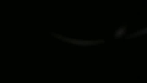 Ossi online show from 1, 11, 2025