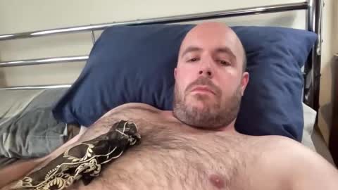 Owen2022 online show from 24, 2, 2026