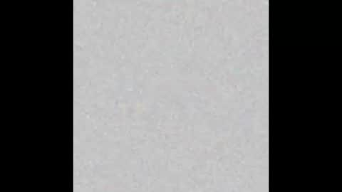 ozwonder_2016 online show from 15, 3, 2026