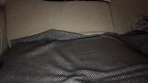 p0c0loco online show from 15, 12, 2024