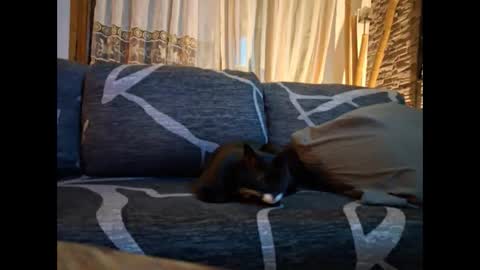 Snapshot of p326032 chatting on 3, 11, 2025 p326032 online show from 3, 11, 2025