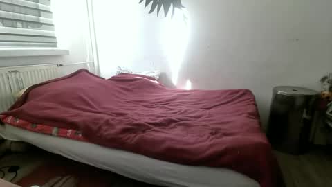 p83291869 online show from 3, 3, 2026