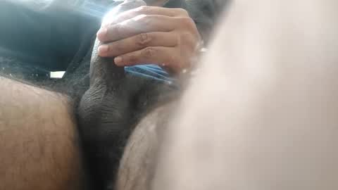 palatco online show from 7, 12, 2024