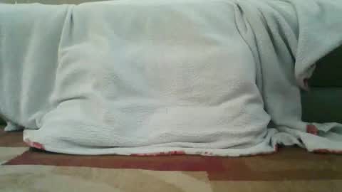 Snapshot of palmerwoodx chatting on 2, 2, 2026 palmerwoodx online show from 2, 2, 2026