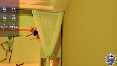 Snapshot of pamelaascott chatting on 12, 10, 2025 P A M online show from 12, 10, 2025