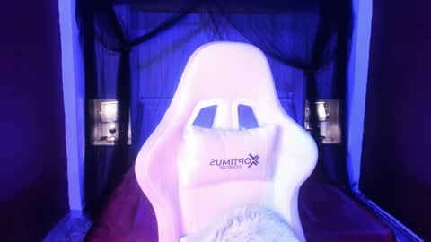  P A M  online show from 27, 2, 2026