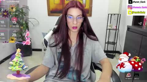 Snapshot of pammelaclark chatting on 6, 11, 2025 pammela clark online show from 6, 11, 2025