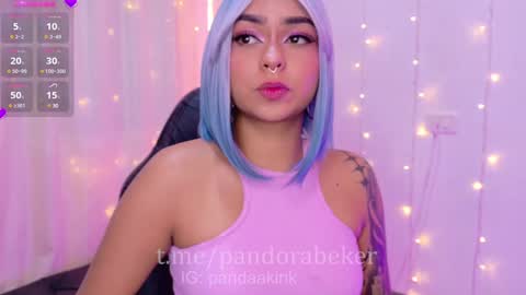 Snapshot of pandorabeker chatting on 9, 1, 2025    online show from 9, 1, 2025