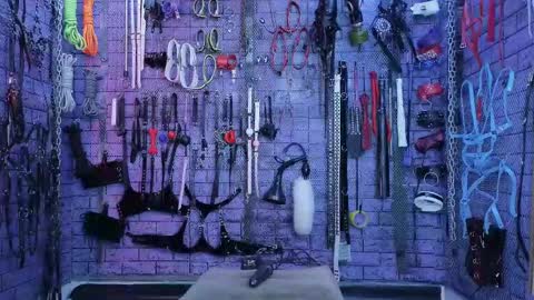 PandoraNez online show from 4, 10, 2025