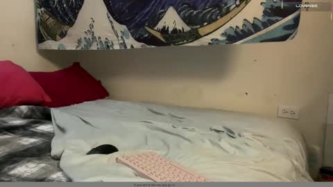 PantsLessTraveler online show from 16, 12, 2025